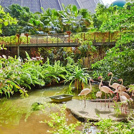 Mobile Homes Im Tropical Islands - Dbs05097-mya Ferienhaus